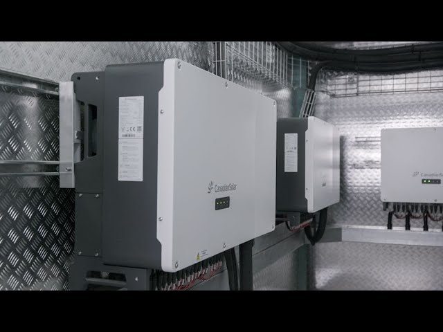 sua chua bien tan canadian